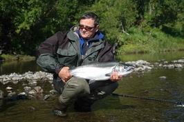 Kundzevaja - losos stribrny (coho, kizuc) Kundzevaja - losos stribrny (coho, kizuc)