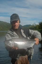 Kundzevaja - losos stribrny (coho, kizuc) Kundzevaja - losos stribrny (coho, kizuc)