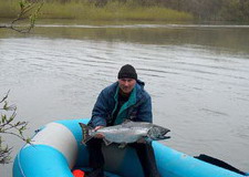 king salmon (chinook), Kamchatka