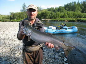 reka Mikiza - losos kisuc / coho reka Mikiza - losos kisuc / coho