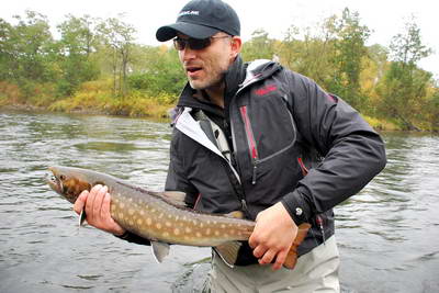 siven vychodosibirsky - kundza, 65 cm siven vychodosibirsky - kundza, 65 cm