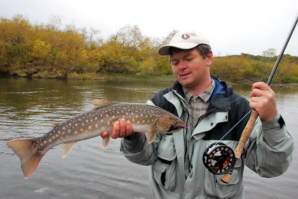 siven vychodosibirsky - kundza, 65 cm siven vychodosibirsky - kundza, 65 cm