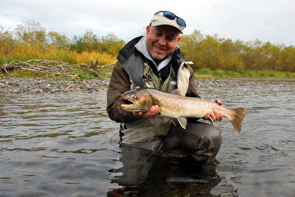 siven vychodosibirsky - kundza, 75 cm siven vychodosibirsky - kundza, 75 cm