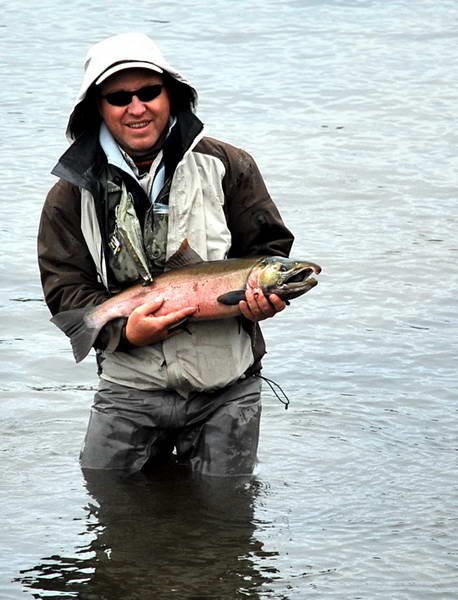 losos kisuc - coho losos kisuc - coho