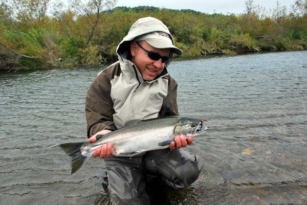 losos kisuc - coho losos kisuc - coho