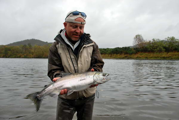 losos kisuc - coho losos kisuc - coho