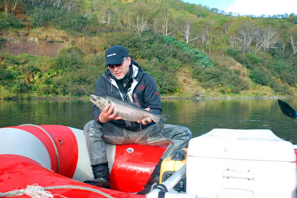 losos kisuc - coho losos kisuc - coho