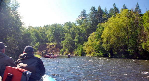 raft na rece Mikizha
