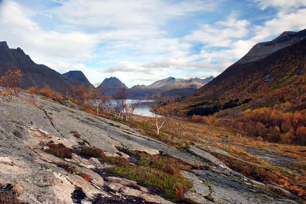 hory a fjordy v kraji Nordland