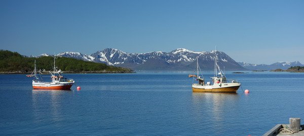 kvetnovy pohled na Andfjord