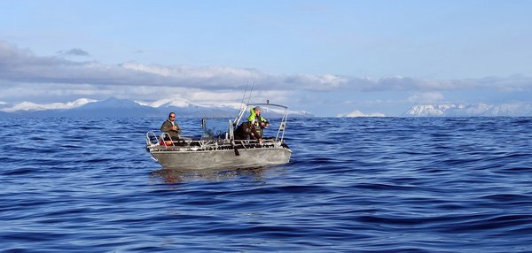 rijnove poledne v kraji Finnmark