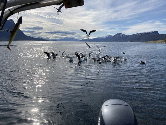 I na racky se dostalo