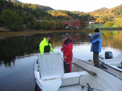 Tingvollfjord v rijnu