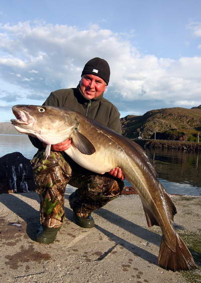 treska obecna - leto v kraji Finnmark treska obecna - leto v kraji Finnmark