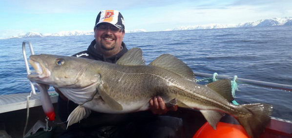 treska obecna 124 cm - duben v kraji Finnmark treska obecna 124 cm - duben v kraji Finnmark