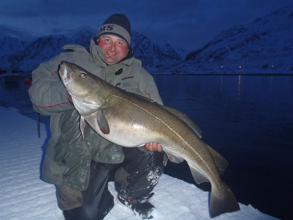 treska obecna - duben v kraji Finnmark