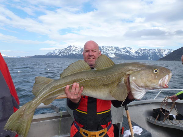 treska obecna, kraj Finnmark