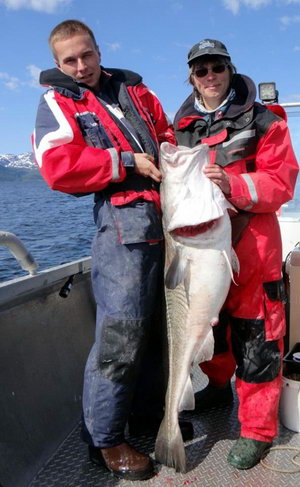 treska obecna 18 kg z Altafjordu, 18.6. 