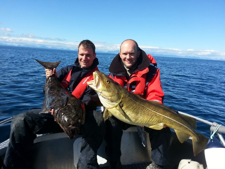 cervencovy ulovek - tresky a halibut cervencovy ulovek - tresky a halibut