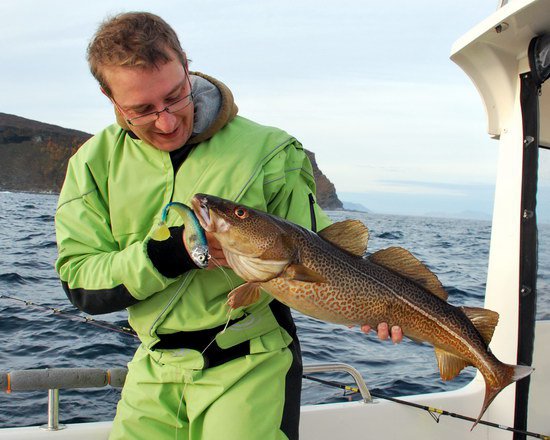 rijen ve Finnmarce - treska obecna ulovena na 15 cm gumu-jig