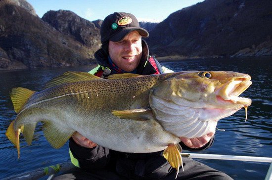 skrei 2015 skrei 2015