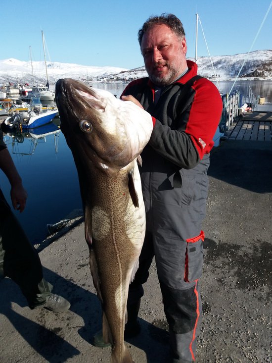 Maribel - treska 143 cm a 34 kg Maribel - treska 143 cm a 34 kg