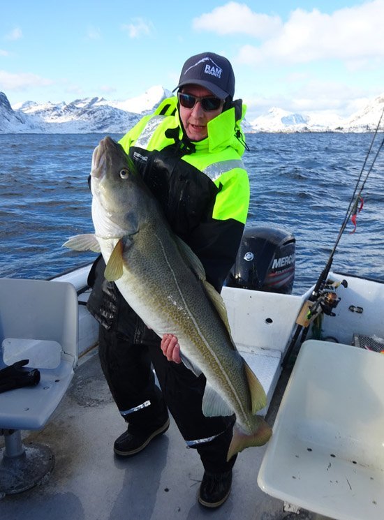 Treska 124 cm z Molnarodden na Lofotech Treska 124 cm z Molnarodden na Lofotech