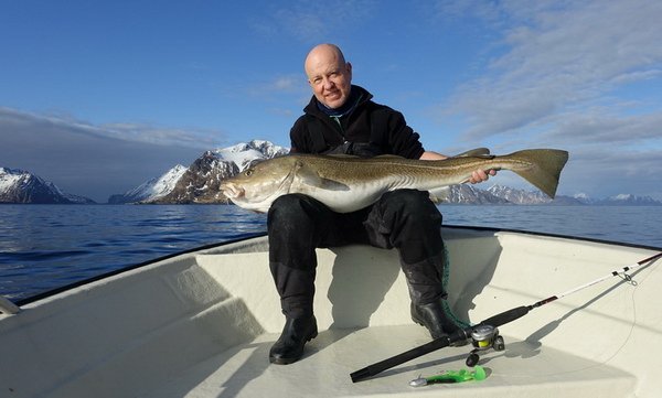 treska obecna - skrei 129 cm, 18,5 kg, duben ve Vestfjordu
