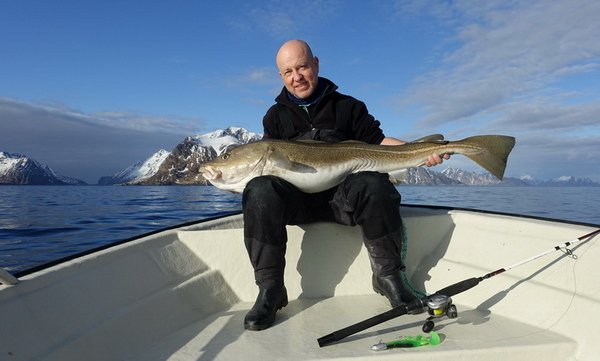 treska obecna - skrei 129 cm, 18,5 kg, duben ve Vestfjordu treska obecna - skrei 129 cm, 18,5 kg, duben ve Vestfjordu