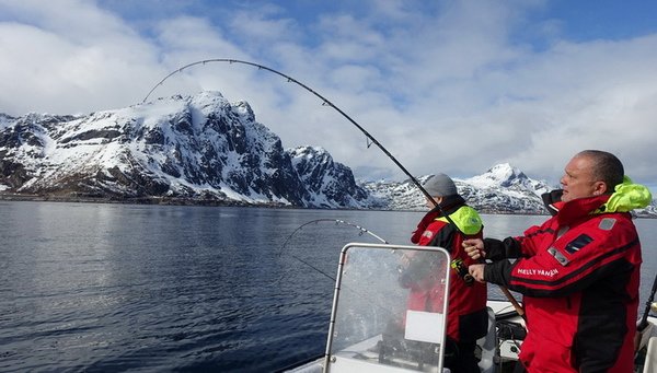 dubnovy lov tresek ve Vestfjordu