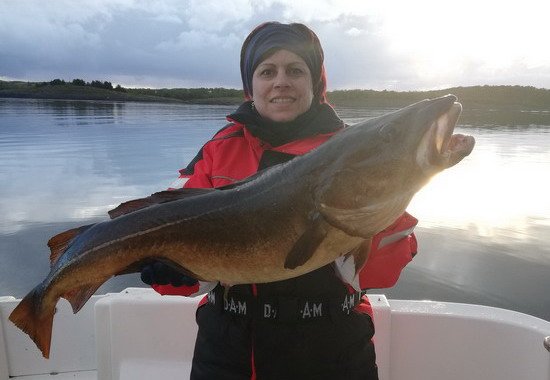 Treska 104 cm z Hestoysund Treska 104 cm z Hestoysund