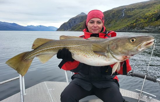 Lenangen - treska obecná 98 cm