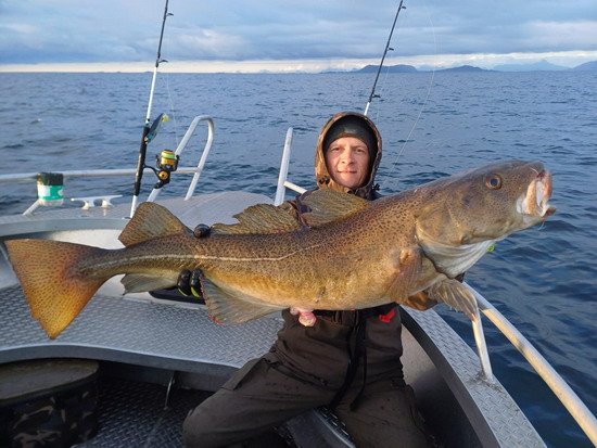 Treska obecná 107 cm, 10 kg Treska obecná 107 cm, 10 kg