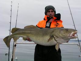 124 cm, cervenec 2006, Sorvaer 124 cm, cervenec 2006, Sorvaer