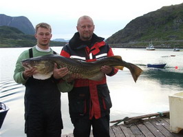 treska obecna, Seiland, cervenec treska obecna, Seiland, cervenec