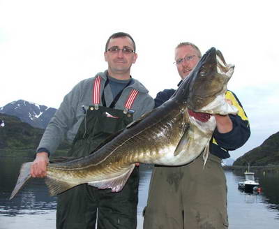 Seiland - treska 131 cm, 25 kg, cerven Seiland - treska 131 cm, 25 kg, cerven