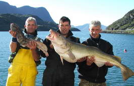 treska obecna 133 cm, 19,8 kg, srpen, Finnmark