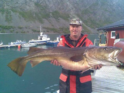 Lyngen - treska obecna 120 cm, srpen Lyngen - treska obecna 120 cm, srpen