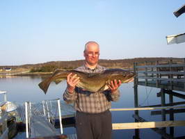 treska obecna 10 kg, Hestoysund 1.5. treska obecna 10 kg, Hestoysund 1.5.