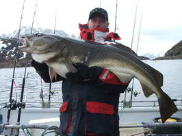 treska obecna 135 cm - 22,7 kg treska obecna 135 cm - 22,7 kg
