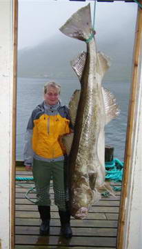treska 151 cm, Loppa, cervenec treska 151 cm, Loppa, cervenec
