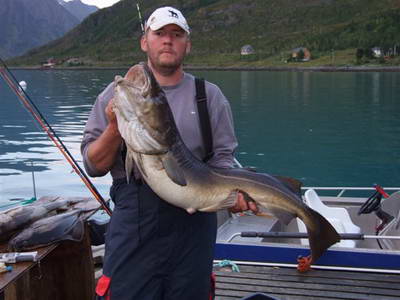 Srpen - treska obecna, Loppa Srpen - treska obecna, Loppa