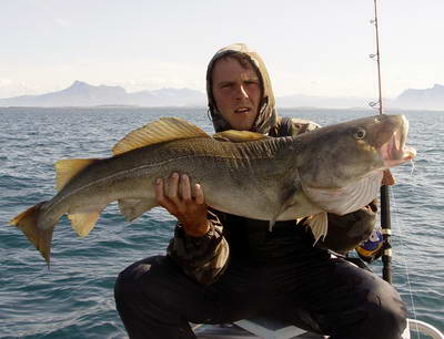 Nordland - treska obecna 118 cm Nordland - treska obecna 118 cm