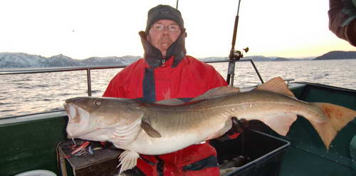 Treska obecna 18 kg, kveten Treska obecna 18 kg, kveten