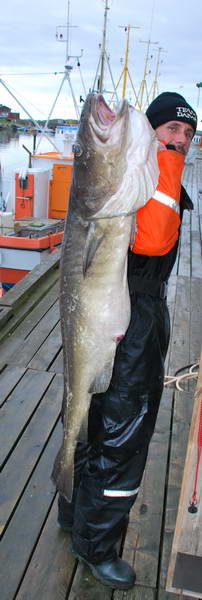 treska obecna 135 cm, 22,7 kg