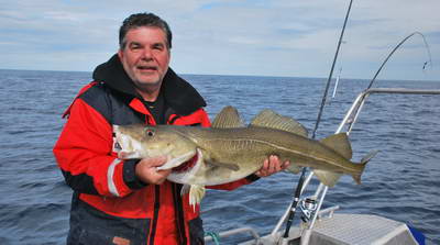 treska obecna 105 cm treska obecna 105 cm