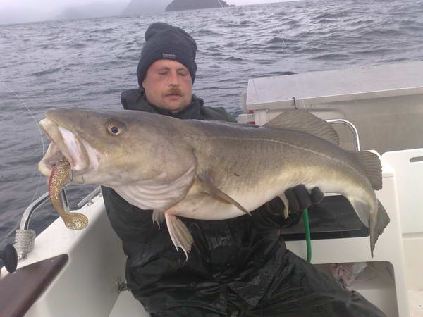 treska obecna 15 kg, zari, Finnmark