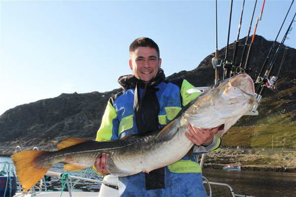 treska obecna 139 cm, 24 kg treska obecna 139 cm, 24 kg