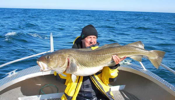 treska obecna 127 cm - Finnmark treska obecna 127 cm - Finnmark
