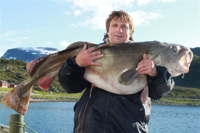 treska obecna 143 cm, 27,5 kg, cerven, Finnmark